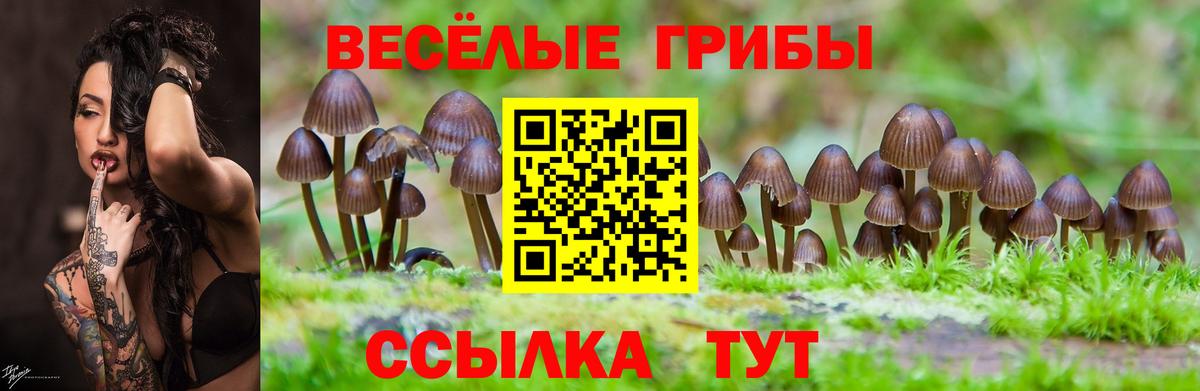 Псилоцибиновые грибы ЛСД  Галлюциногенные грибы ЛСД  Вход с VPN  Кострома 